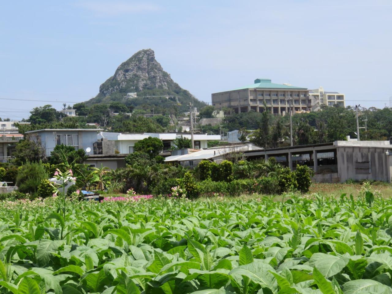 Okinawa Freedom Villa Nakijin Exterior photo