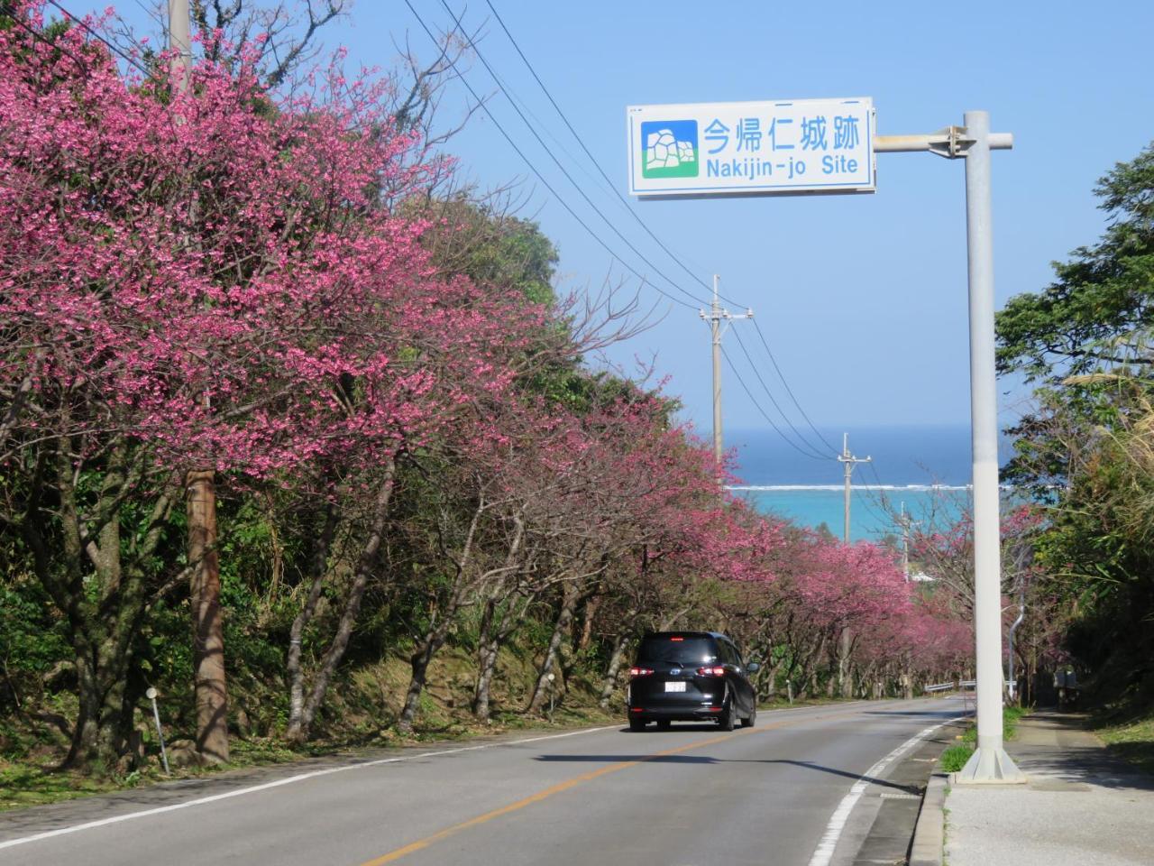 Okinawa Freedom Villa Nakijin Exterior photo